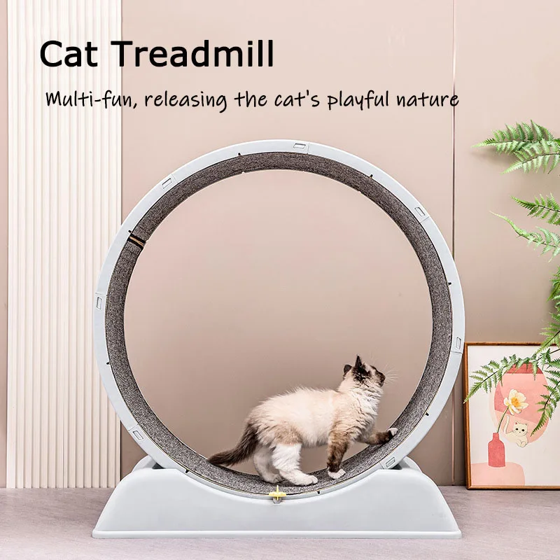 Cat Running Wheel Exercise Treadmill - Sessiz Kedi Koşu Bandı Koşu Tekerleği