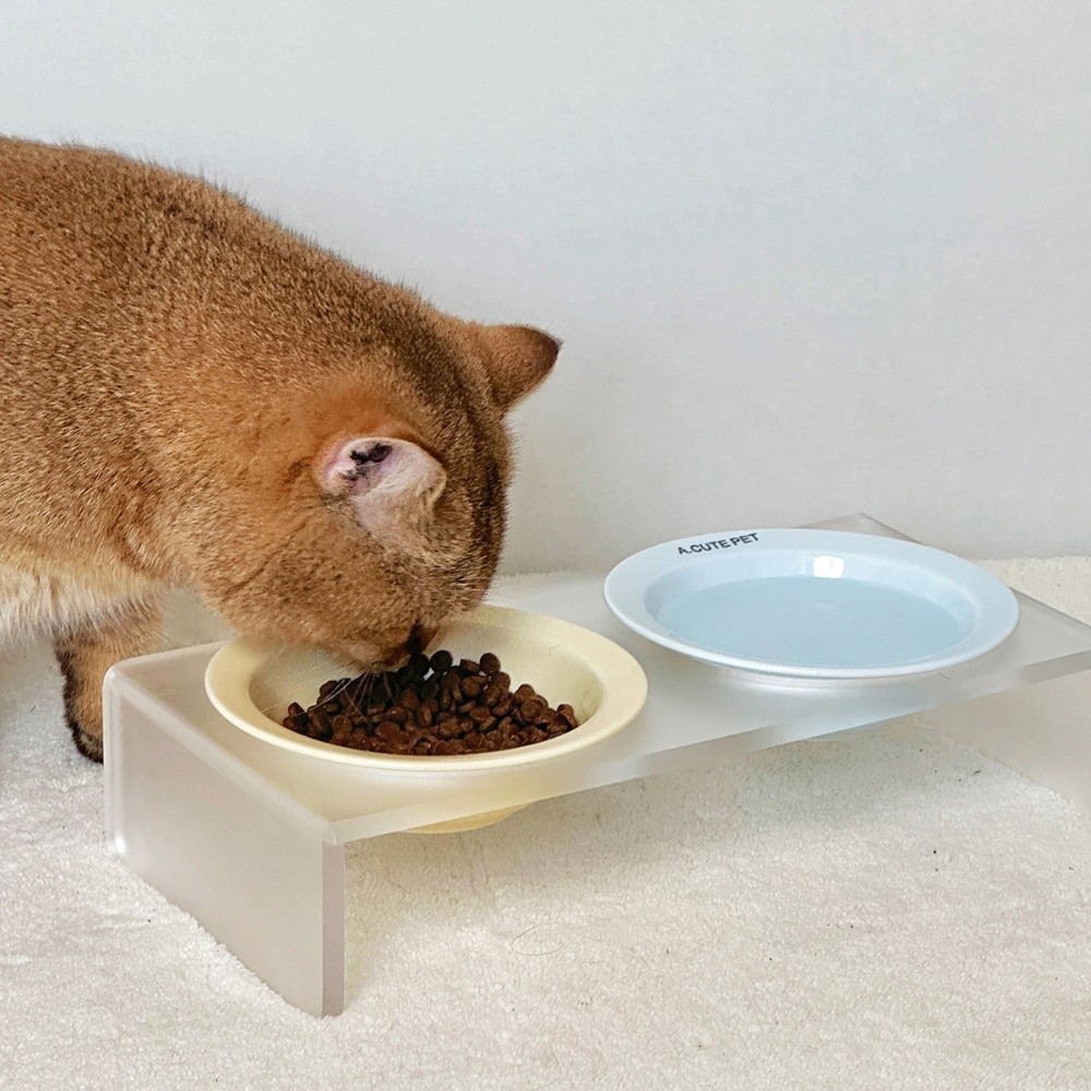Elevated Ceramic Cat Bowls Tilted Food - Seramik Yükseltilmiş Kedi Kasesi Düz Renk