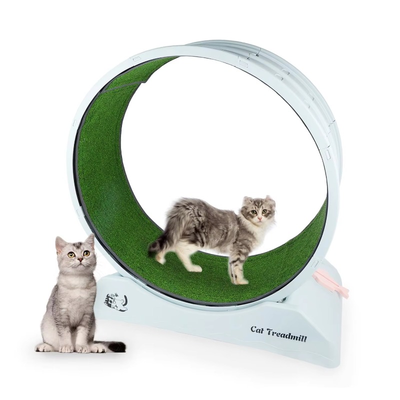 Cat Running Wheel Exercise Treadmill - Ekstra Büyük 74cm Kedi Egzersiz Tekerleği,