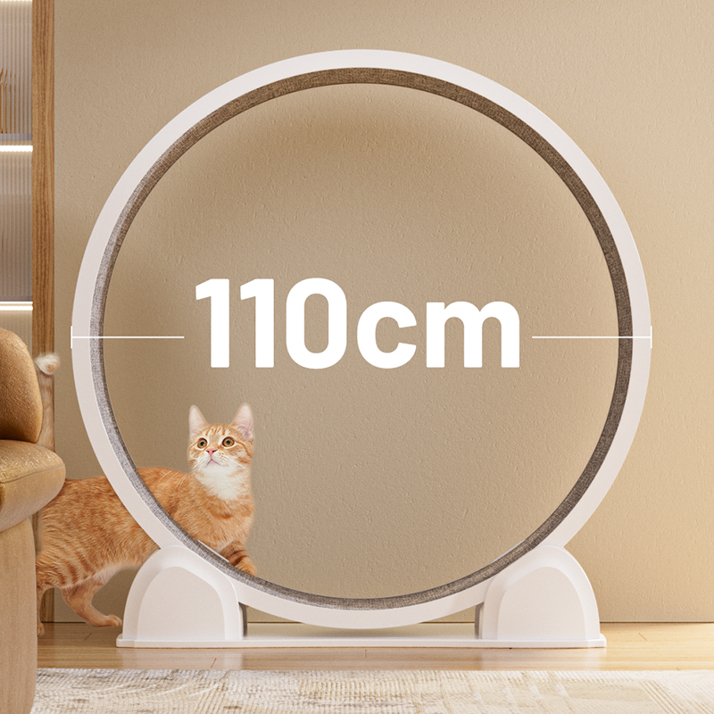 Cat Running Wheel Exercise Treadmill - CATSOUL Dijital Ekranlı Kedi Koşu Bandı