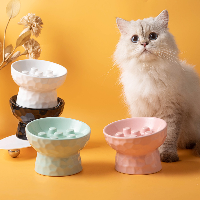 Elevated Ceramic Cat Bowls Tilted Food - Seramik Yükseltilmiş Kedi Mama Kabı, Yavaş