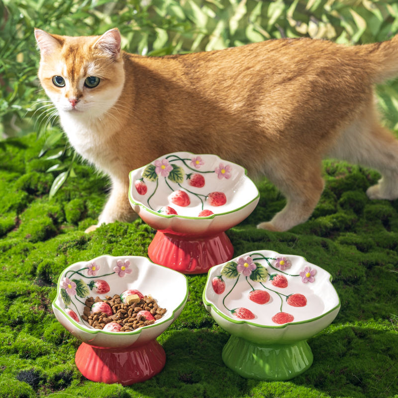 Elevated Ceramic Cat Bowls Tilted Food - Seramik Çilek Desenli Yükseltilmiş Kedi Mama