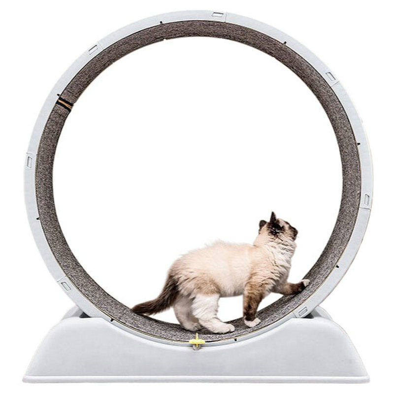 Cat Running Wheel Exercise Treadmill - Sessiz ve Doldurulmamış Ayaklı Yeni Kedi