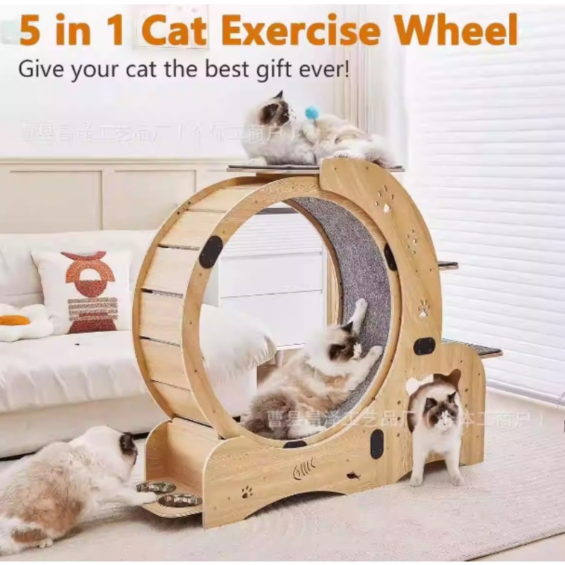 Yüksek Kaliteli Kedi Egzersiz  - Cat Running Wheel Exercise Treadmill incelemesi ve fiyatı