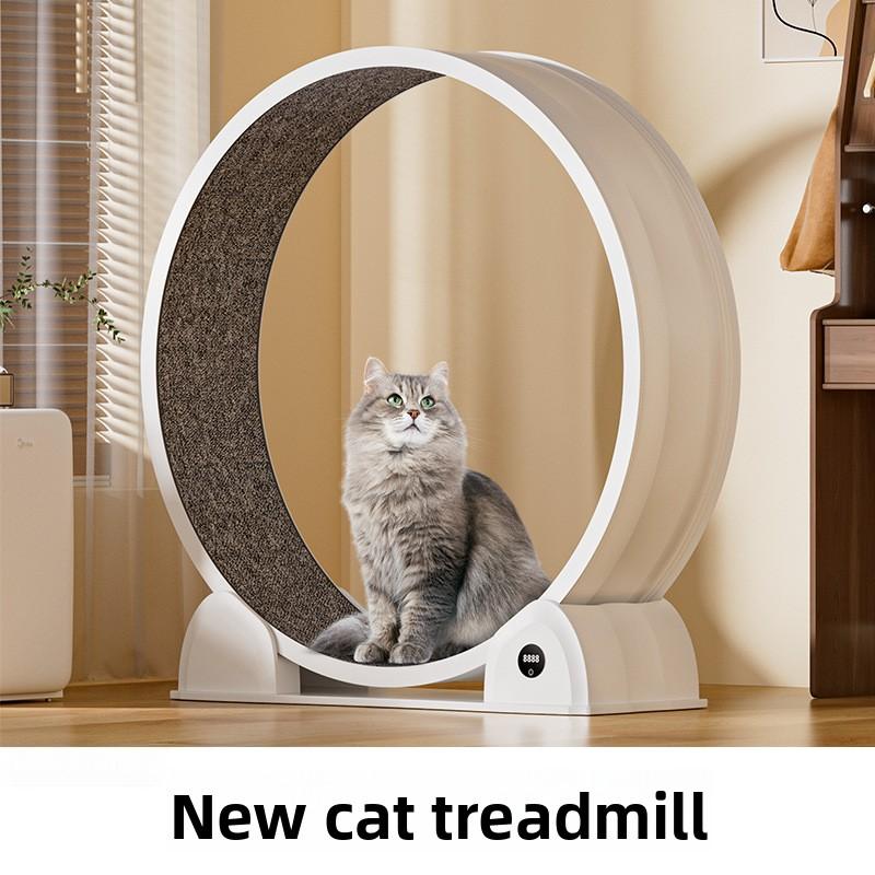 Sessiz Manuel Kedi Koşu Bandı, - Cat Running Wheel Exercise Treadmill incelemesi ve fiyatı