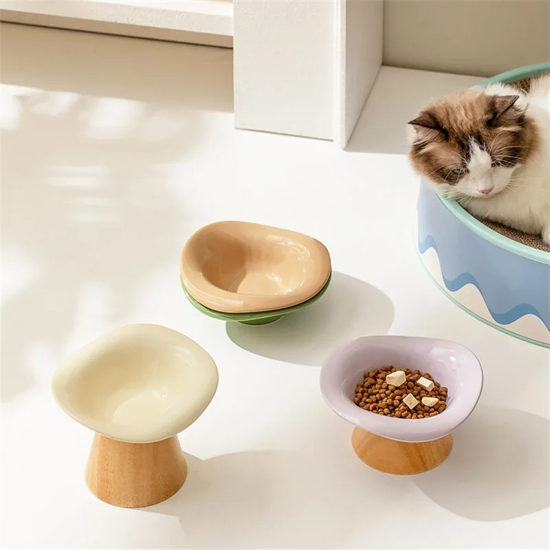 Yaratıcı Seramik Kedi Mama Kab - Elevated Ceramic Cat Bowls Tilted Food incelemesi ve fiyatı