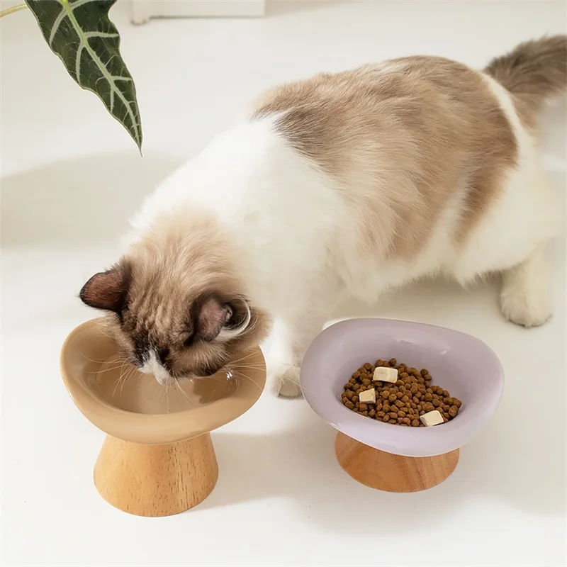 Yaratıcı Seramik Kedi Mama Kab - Elevated Ceramic Cat Bowls Tilted Food incelemesi ve fiyatı