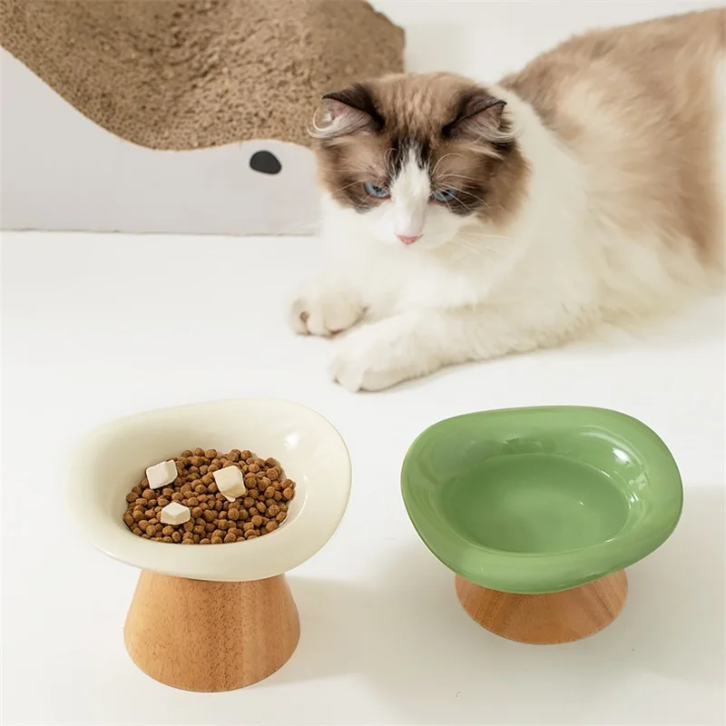 Yaratıcı Seramik Kedi Mama Kab - Elevated Ceramic Cat Bowls Tilted Food incelemesi ve fiyatı