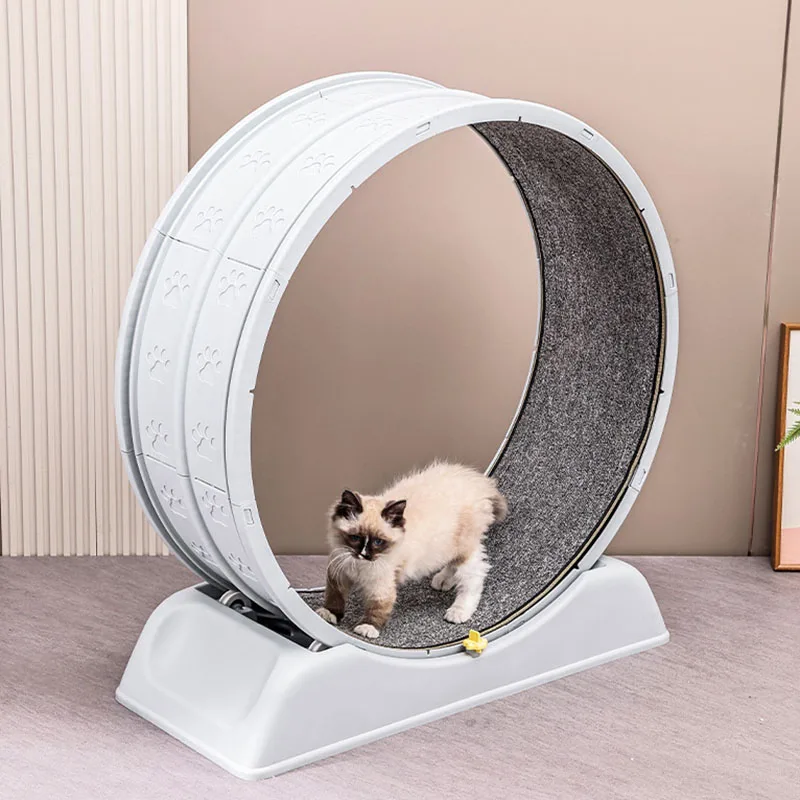 Sessiz Kedi Koşu Bandı Koşu Te - Cat Running Wheel Exercise Treadmill incelemesi ve fiyatı