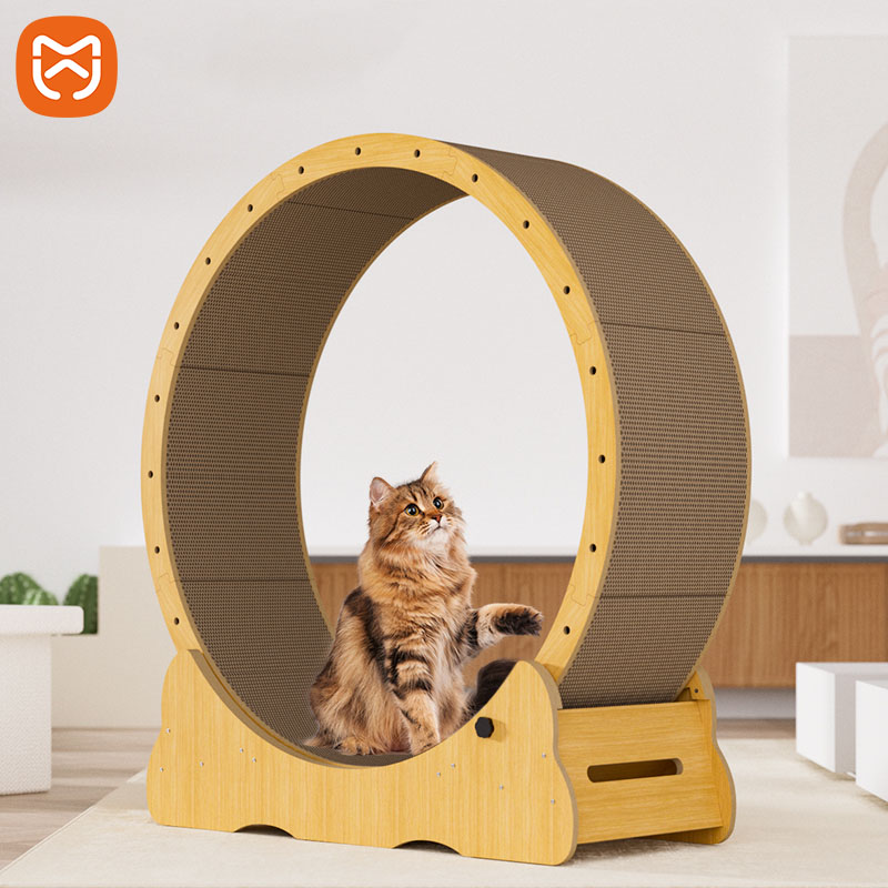 Yeni Tasarlanmış Özelleştirilm - Cat Running Wheel Exercise Treadmill incelemesi ve fiyatı