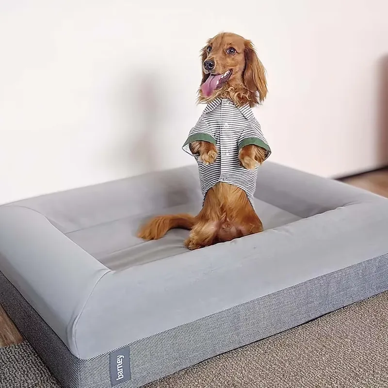 Hafızalı Köpük Ortopedik Lüks  - Orthopedic Memory Foam Dog Bed Washable incelemesi ve fiyatı