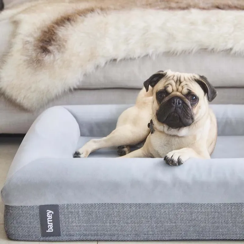 Hafızalı Köpük Ortopedik Lüks  - Orthopedic Memory Foam Dog Bed Washable incelemesi ve fiyatı