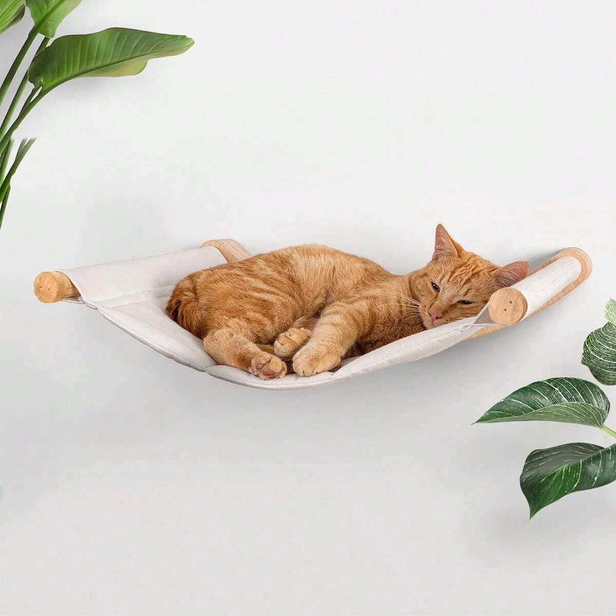 Kedi Duvar Tırmanma Rafları Si - Cat Wall Climbing Shelves Hammock Wooden incelemesi ve fiyatı