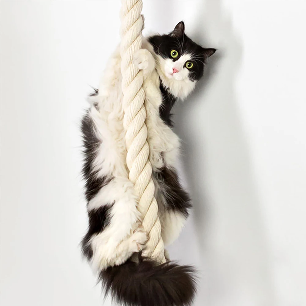 Kedi Duvar Tırmanma Rafları Si - Cat Wall Climbing Shelves Hammock Wooden incelemesi ve fiyatı