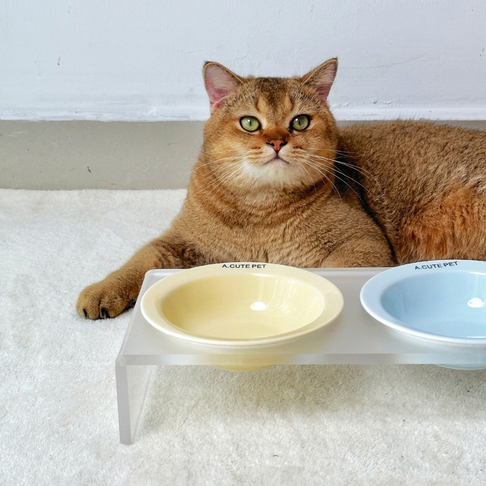Seramik Yükseltilmiş Kedi Kase - Elevated Ceramic Cat Bowls Tilted Food incelemesi ve fiyatı