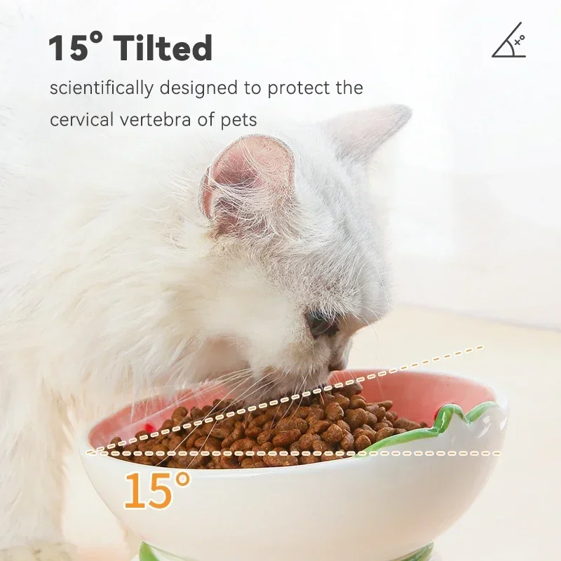 Kedi Seramik Kase Küçük Köpekl - Elevated Ceramic Cat Bowls Tilted Food incelemesi ve fiyatı