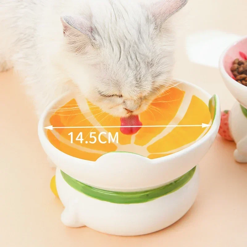 Kedi Seramik Kase Küçük Köpekl - Elevated Ceramic Cat Bowls Tilted Food incelemesi ve fiyatı