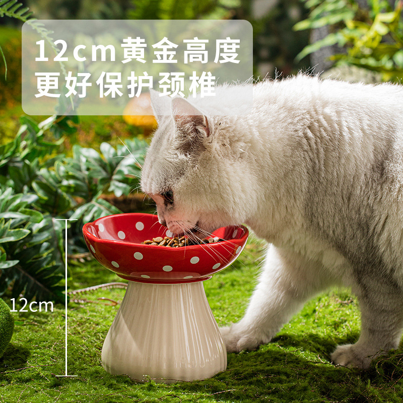 Yüksek ve Eğimli Seramik Kedi  - Elevated Ceramic Cat Bowls Tilted Food incelemesi ve fiyatı