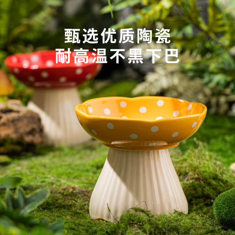 Yüksek ve Eğimli Seramik Kedi  - Elevated Ceramic Cat Bowls Tilted Food incelemesi ve fiyatı