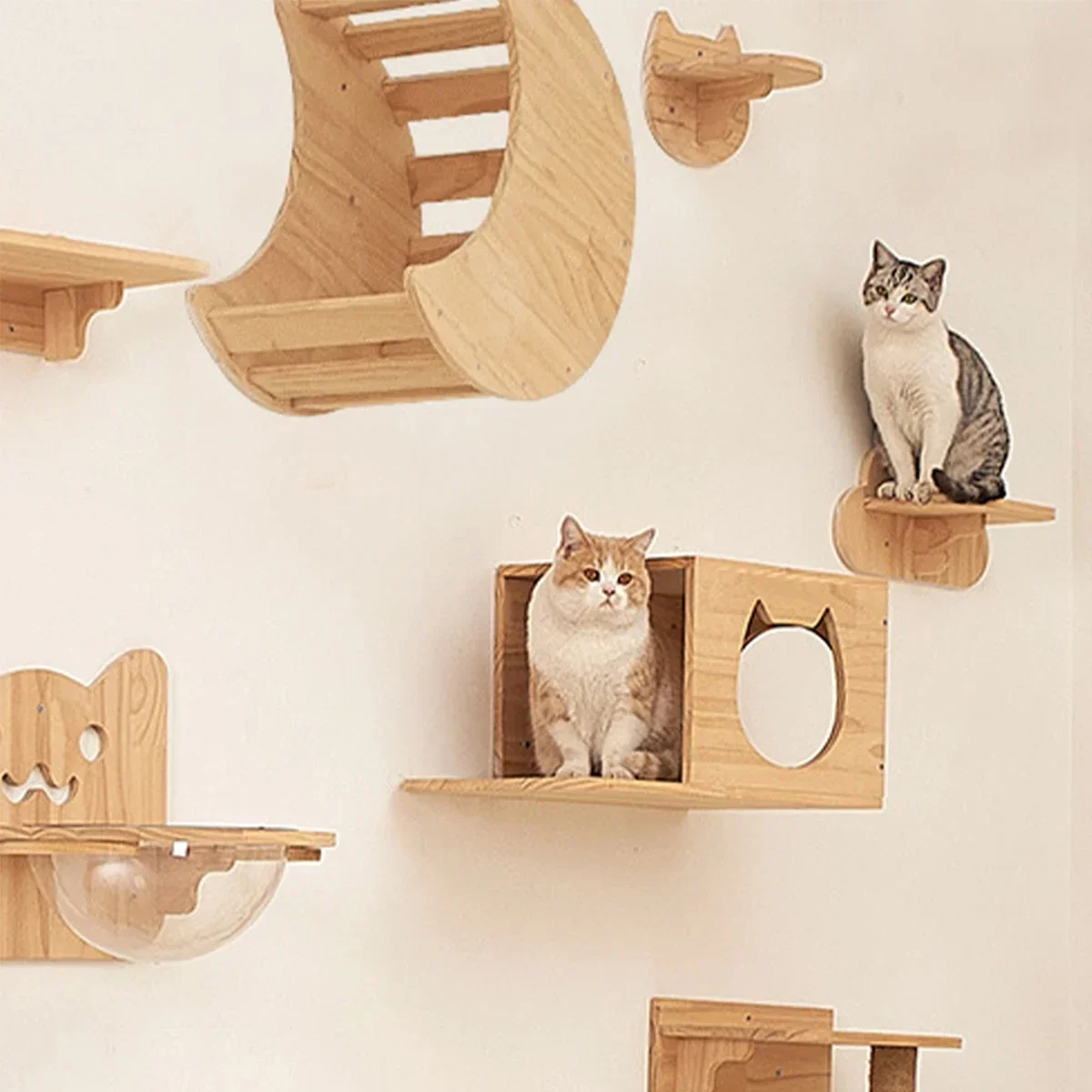 Duvara Monte Edilebilen Kedi R - Cat Wall Climbing Shelves Hammock Wooden incelemesi ve fiyatı