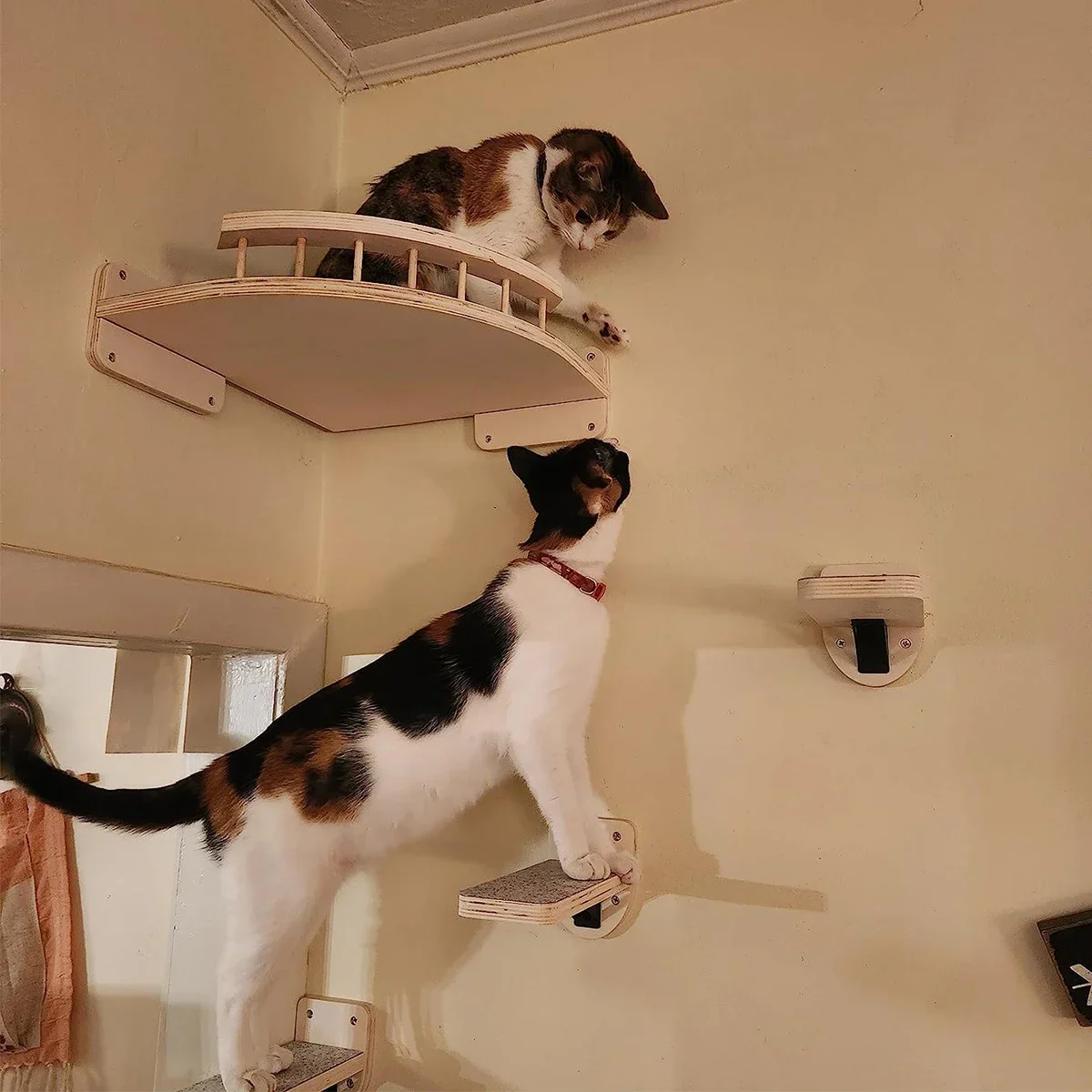 Duvara Monte Edilebilen Kedi R - Cat Wall Climbing Shelves Hammock Wooden incelemesi ve fiyatı