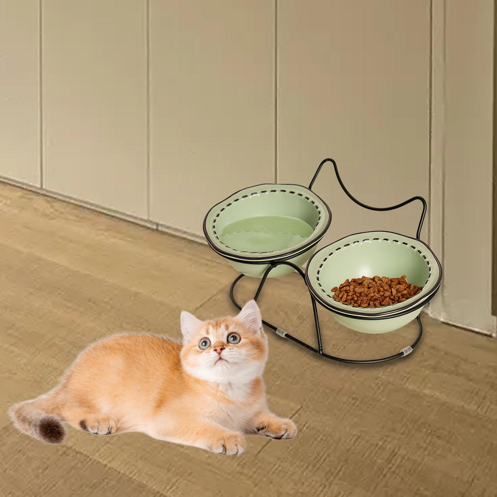 Kedi ve Yavru Kediler İçin Yük - Elevated Ceramic Cat Bowls Tilted Food incelemesi ve fiyatı