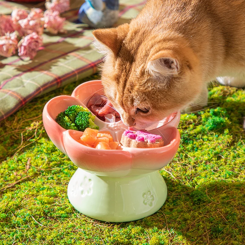 Yüksek Seramik Evcil Hayvan Ma - Elevated Ceramic Cat Bowls Tilted Food incelemesi ve fiyatı