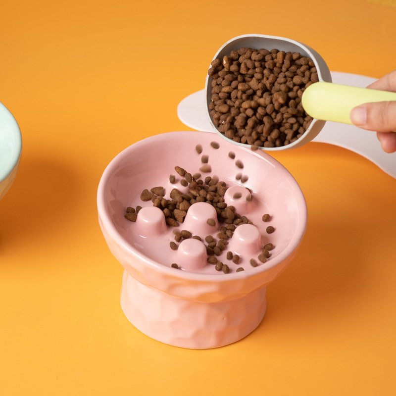 Seramik Yükseltilmiş Kedi Mama - Elevated Ceramic Cat Bowls Tilted Food incelemesi ve fiyatı