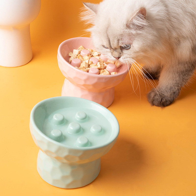 Seramik Yükseltilmiş Kedi Mama - Elevated Ceramic Cat Bowls Tilted Food incelemesi ve fiyatı