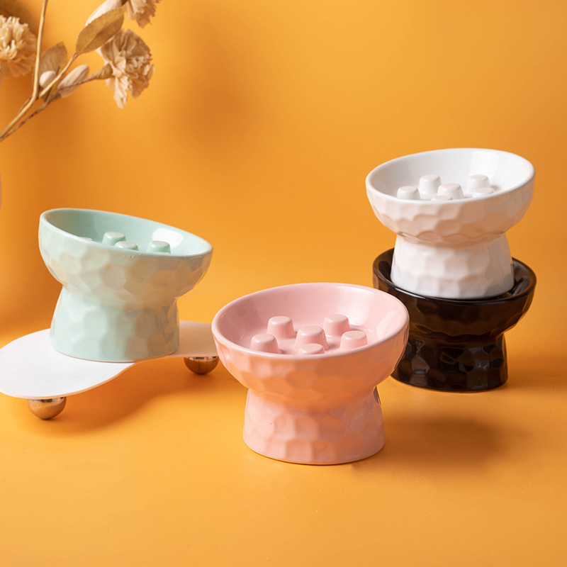 Seramik Yükseltilmiş Kedi Mama - Elevated Ceramic Cat Bowls Tilted Food incelemesi ve fiyatı