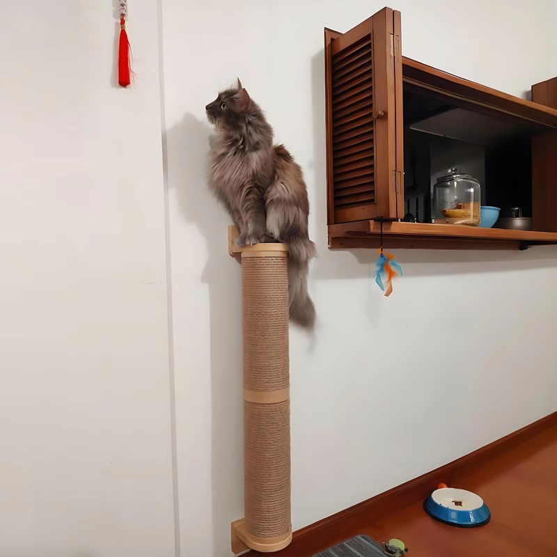 Kedi Tırmalama Tahtası, Duvara - Cat Wall Climbing Shelves Hammock Wooden incelemesi ve fiyatı