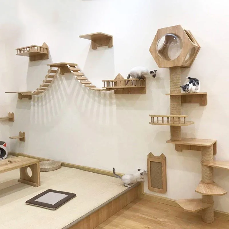 Duvara Monte Edilen Tırmanma R - Cat Wall Climbing Shelves Hammock Wooden incelemesi ve fiyatı
