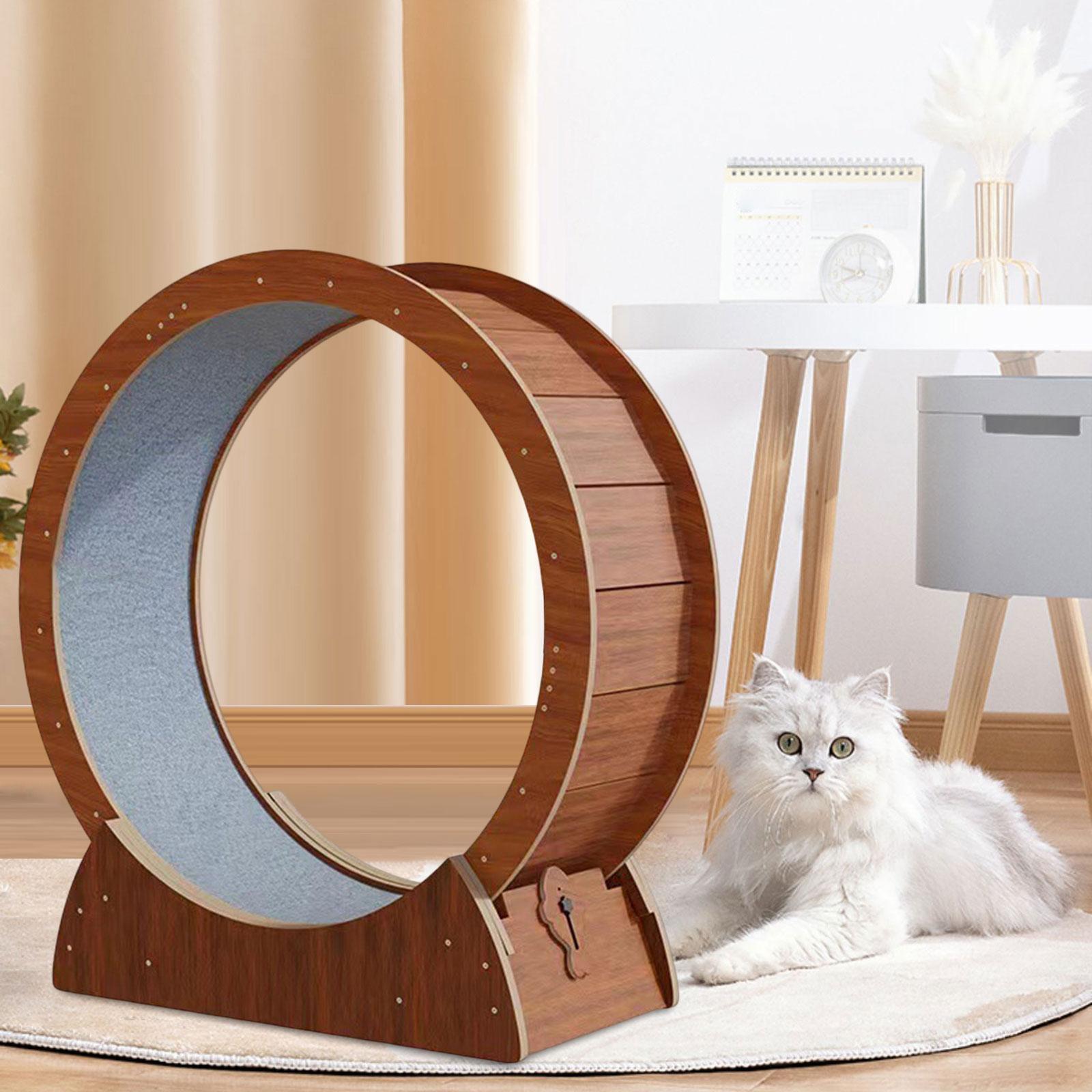 Kedi Koşu Çarkı Kedi Egzersiz  - Cat Running Wheel Exercise Treadmill incelemesi ve fiyatı