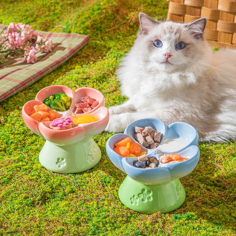 Yüksek Seramik Evcil Hayvan Ma - Elevated Ceramic Cat Bowls Tilted Food incelemesi ve fiyatı