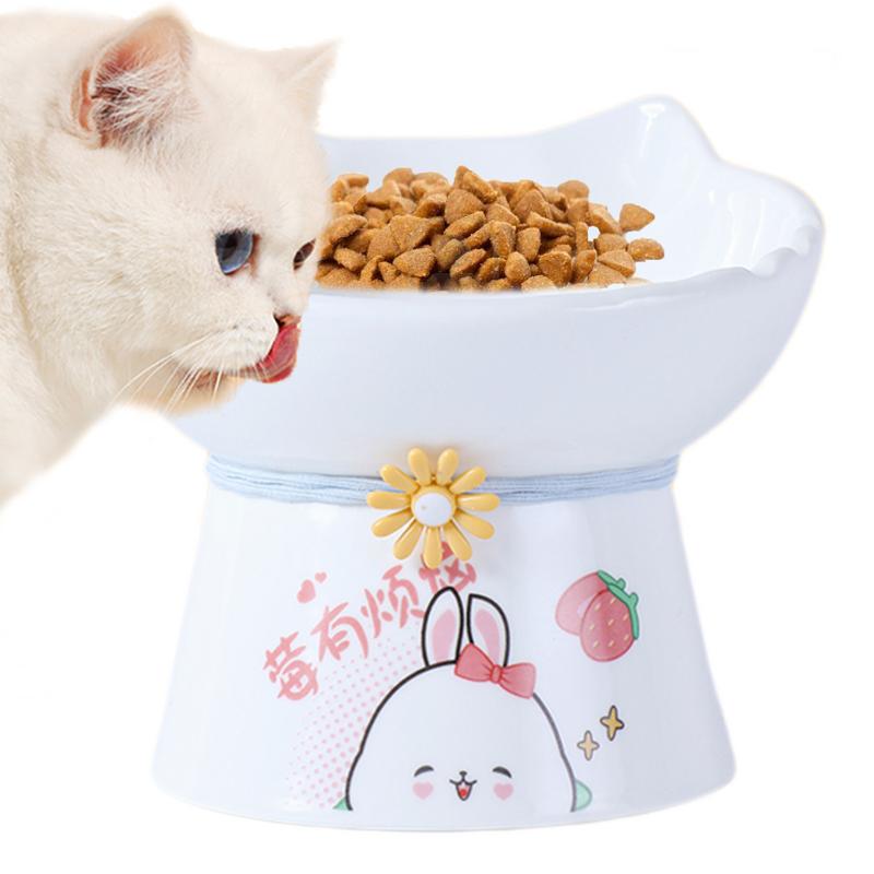 Yükseltilmiş Kedi Kaseleri Ser - Elevated Ceramic Cat Bowls Tilted Food incelemesi ve fiyatı