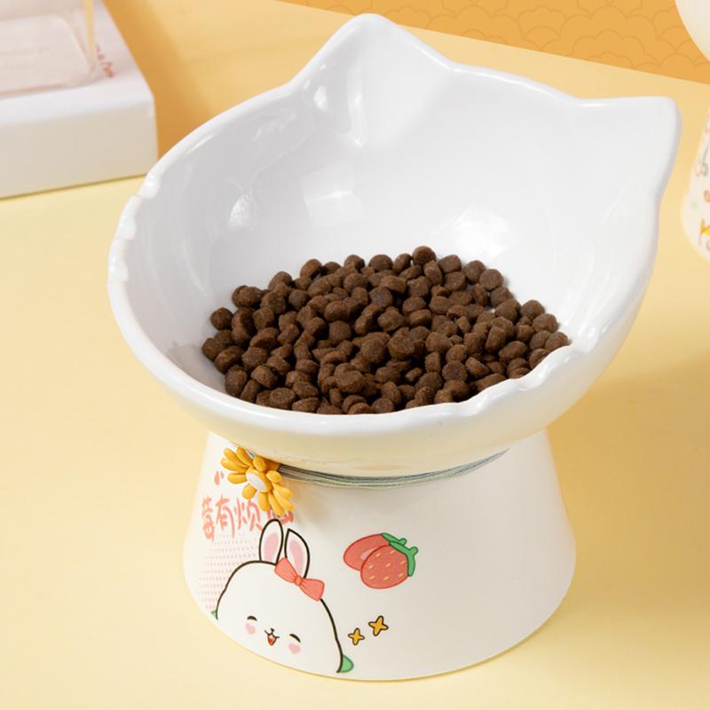 Yükseltilmiş Kedi Kaseleri Ser - Elevated Ceramic Cat Bowls Tilted Food incelemesi ve fiyatı