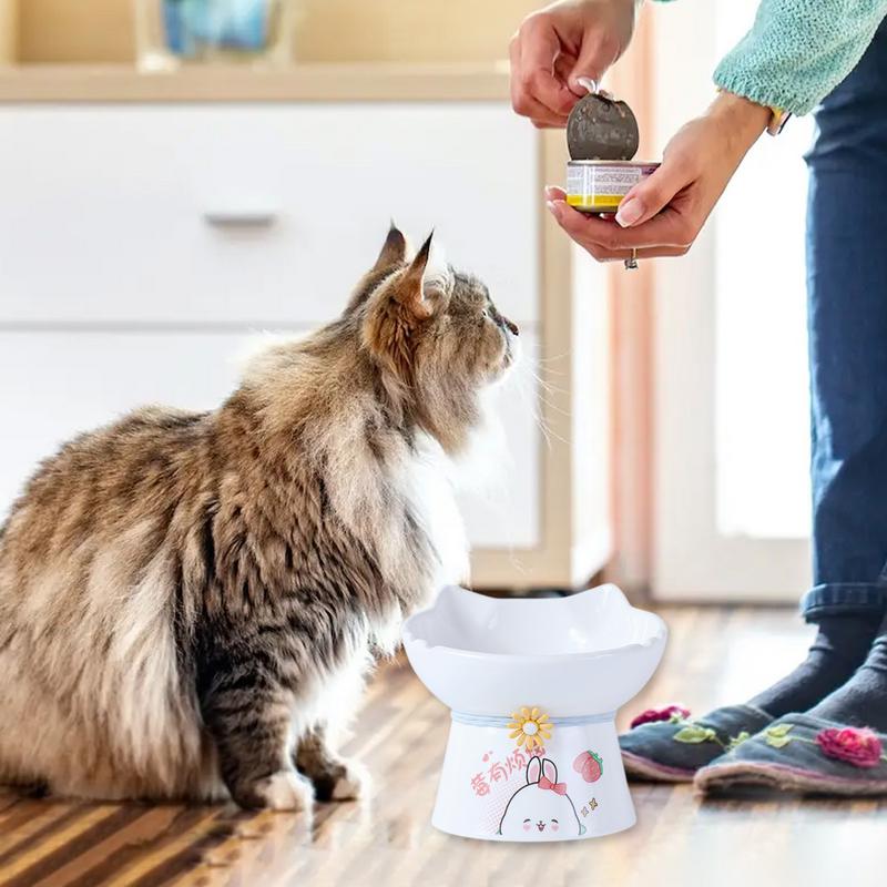 Yükseltilmiş Kedi Kaseleri Ser - Elevated Ceramic Cat Bowls Tilted Food incelemesi ve fiyatı