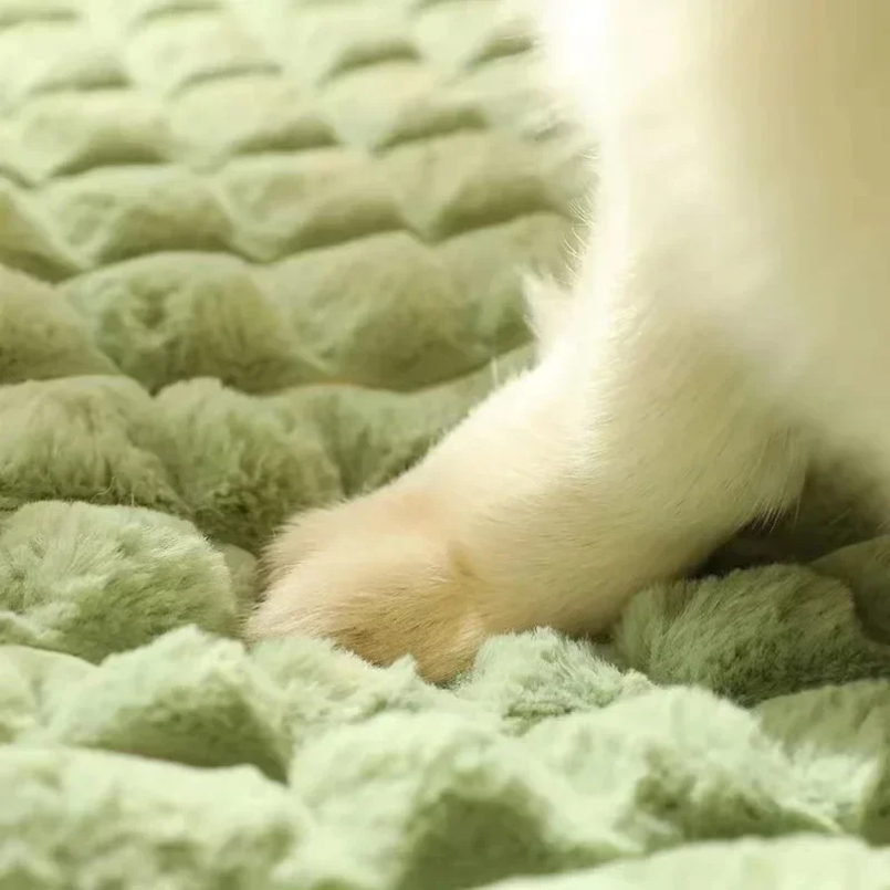 Makinede Yıkanabilir Köpek Yat - Orthopedic Memory Foam Dog Bed Washable incelemesi ve fiyatı