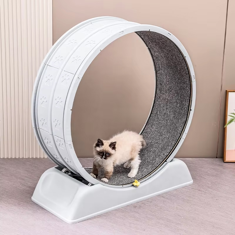 Yüksek Kaliteli Modern Çevre D - Cat Running Wheel Exercise Treadmill incelemesi ve fiyatı