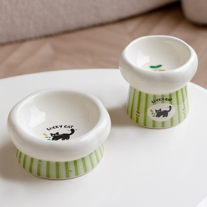 Yüksek Seramik Köpek Mama Kabı - Elevated Ceramic Cat Bowls Tilted Food incelemesi ve fiyatı