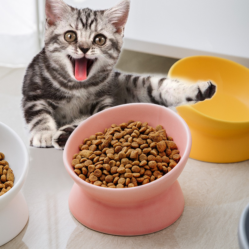 Yükseltilmiş Kedi Mamalıkları  - Elevated Ceramic Cat Bowls Tilted Food incelemesi ve fiyatı