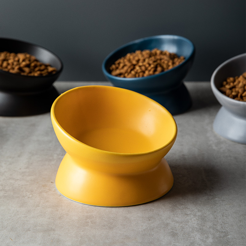 Yükseltilmiş Kedi Mamalıkları  - Elevated Ceramic Cat Bowls Tilted Food incelemesi ve fiyatı