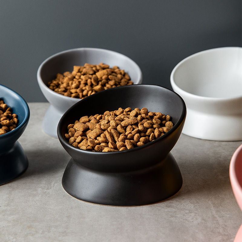 Yükseltilmiş Kedi Mamalıkları  - Elevated Ceramic Cat Bowls Tilted Food incelemesi ve fiyatı