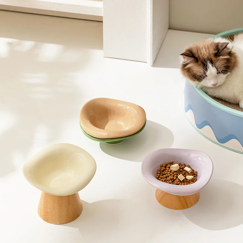 Yükseltilmiş, Eğik Tasarımlı M - Elevated Ceramic Cat Bowls Tilted Food incelemesi ve fiyatı