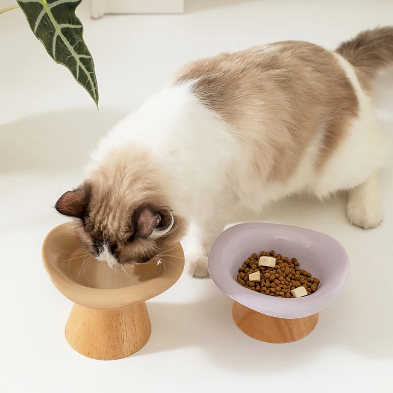 Yükseltilmiş, Eğik Tasarımlı M - Elevated Ceramic Cat Bowls Tilted Food incelemesi ve fiyatı