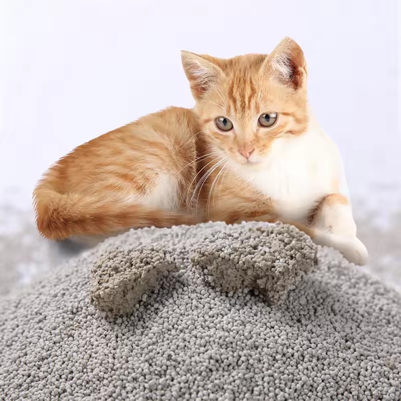 Çin'den Yüksek Emici Güçlü Top - Bentonite Cat Litter Clumping Dust Free incelemesi ve fiyatı