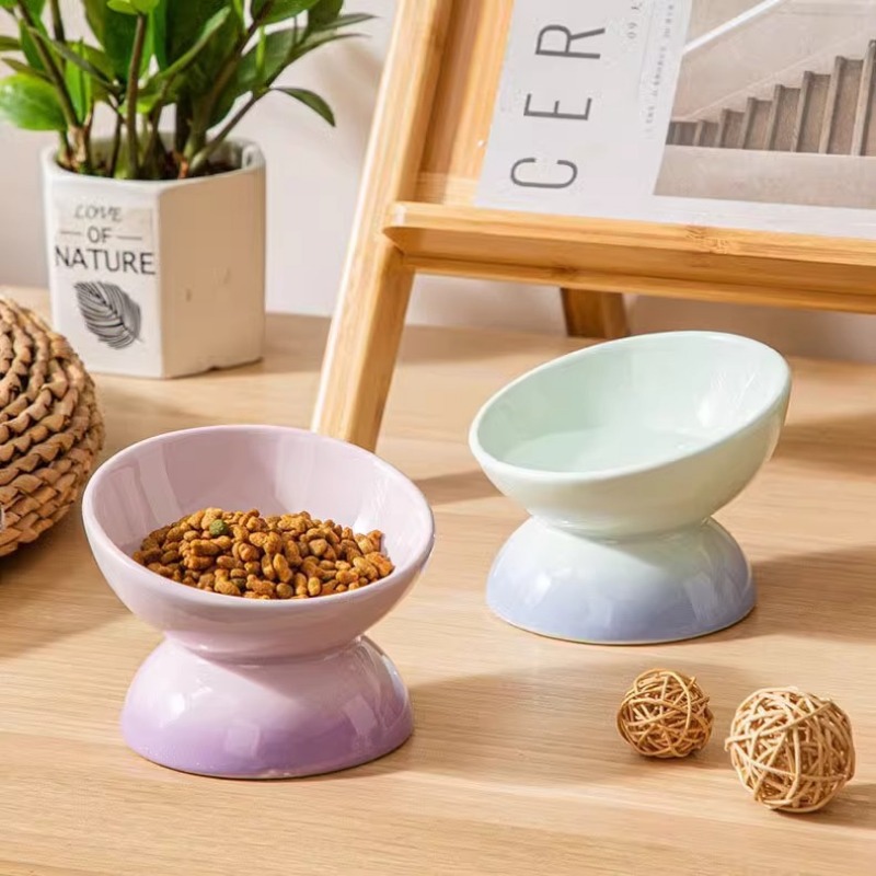 Seramik Yüksek Kedi Mama Kapla - Elevated Ceramic Cat Bowls Tilted Food incelemesi ve fiyatı