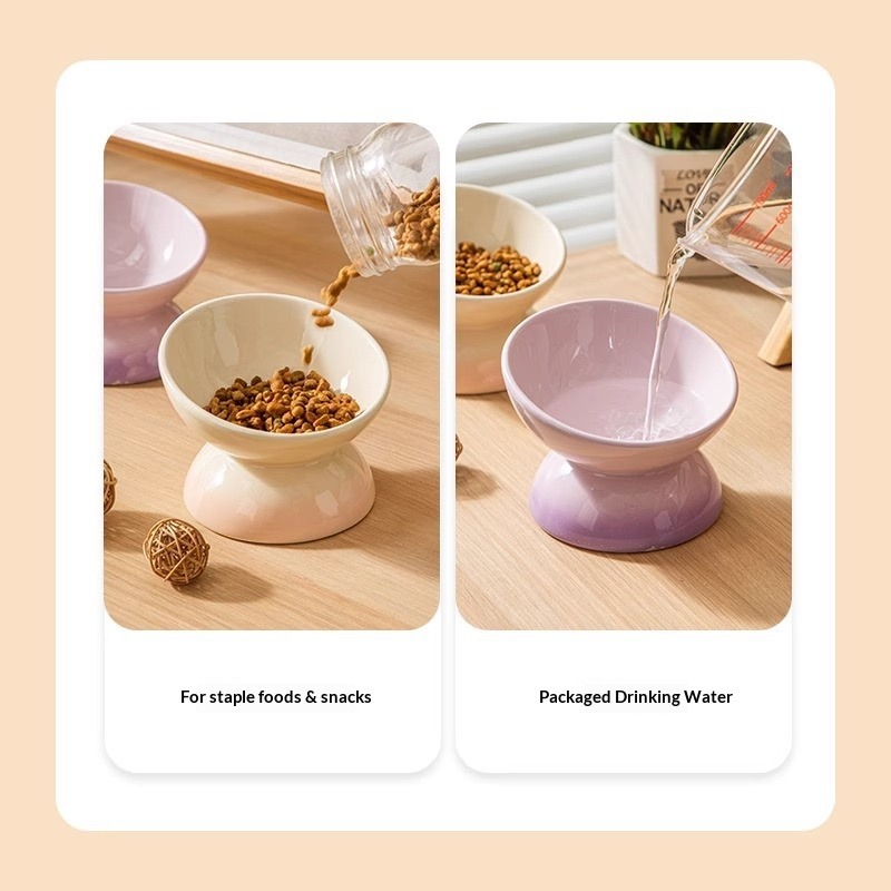 Seramik Yüksek Kedi Mama Kapla - Elevated Ceramic Cat Bowls Tilted Food incelemesi ve fiyatı