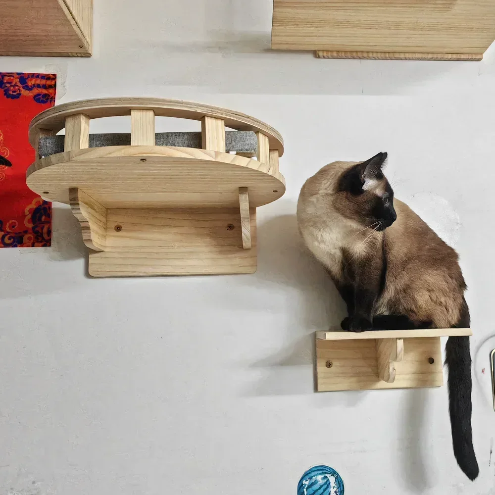 Ahşap Kedi Ağacı, Kedi Duvarı  - Cat Wall Climbing Shelves Hammock Wooden incelemesi ve fiyatı