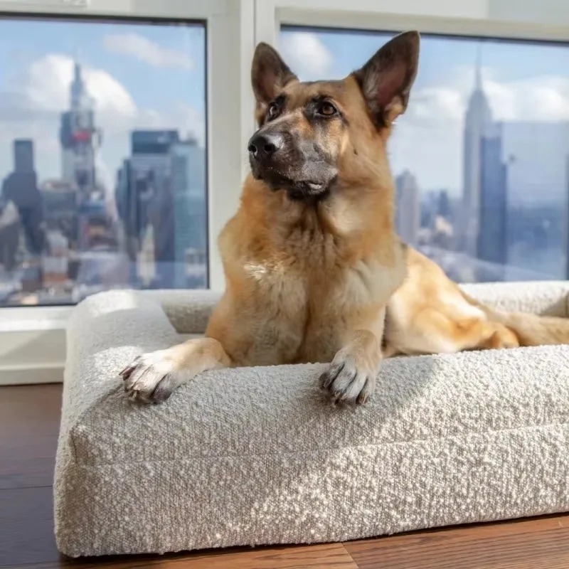 Evcil hayvan yatağı Toptan Öze - Orthopedic Memory Foam Dog Bed Washable incelemesi ve fiyatı